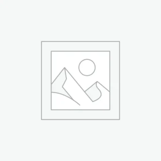 Suspendisse gravida lacus varius